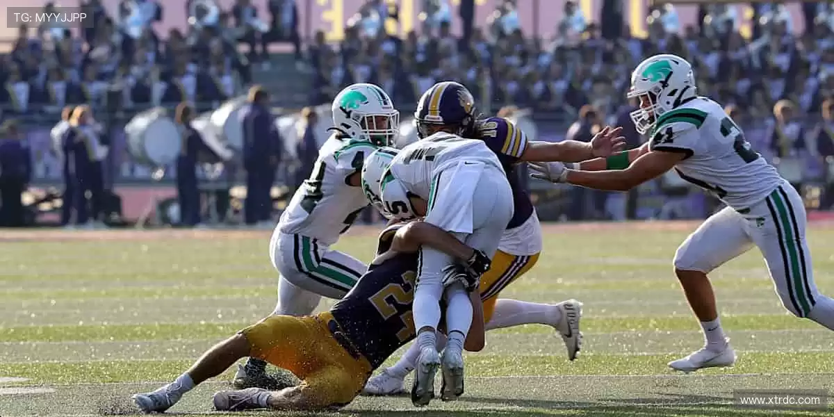 📱弹幕狂欢,实时互动!你的声音,让直播更有温度!